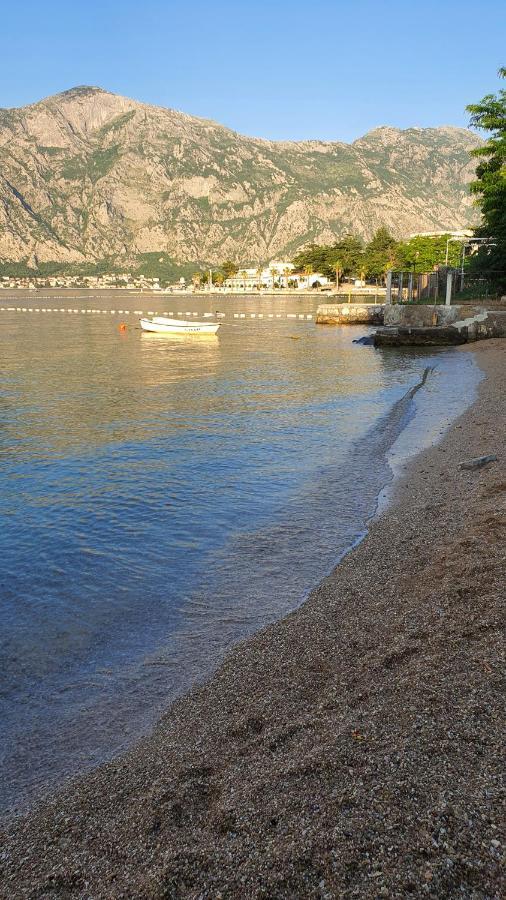 Villa Viva House Kotor Exterior foto