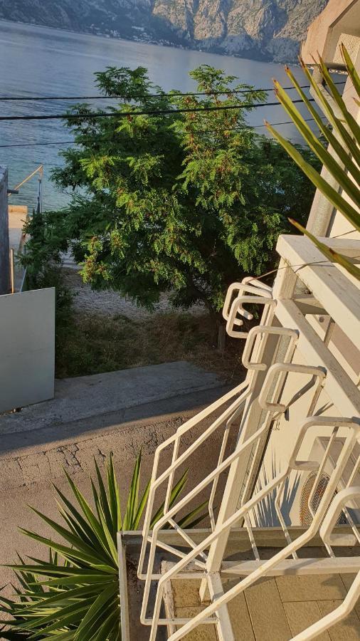 Villa Viva House Kotor Exterior foto
